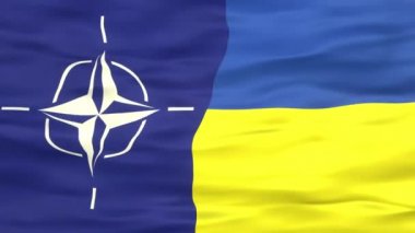 NATO bayrağı ve Ukrayna bayrağı birlikte. Kuzey Atlantik Antlaşma Örgütü ve Ukrayna. Flag background Hareketi videosu rüzgarda dalgalanıyor. İttifak savaş bayrağı yaklaşıyor. Döngüsel 3d canlandırma.