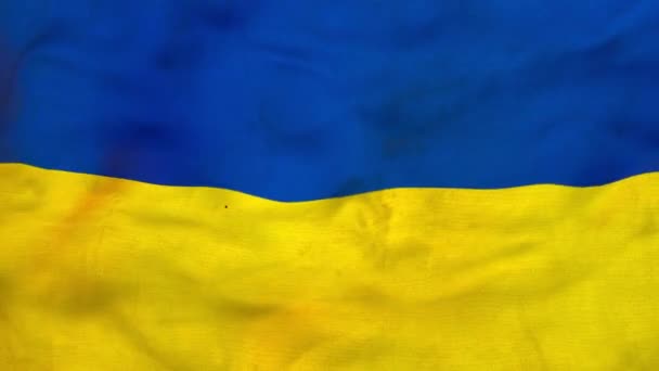 Zeitlupe Flagge der Ukraine schwenkt Himmel blau und gelb ukrainischen Nationalfarben. Die Flagge der Ukraine weht im Wind und ist das nationale Symbol des Landes. Loopable 3D-Animation. — Stockvideo