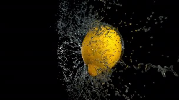 Slow motion shot of water in a lemon, on a black background. — Stockvideo