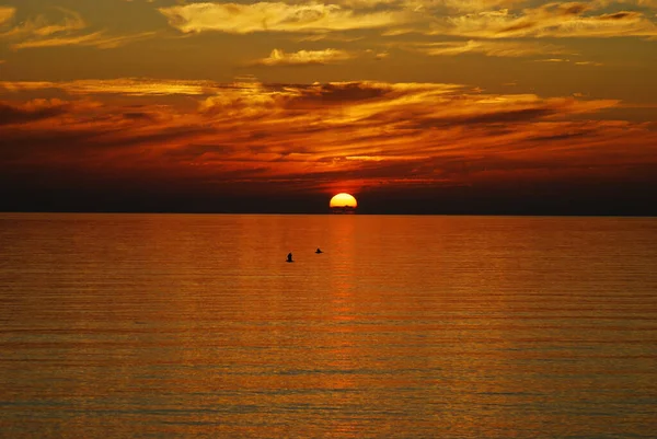 Amazig Zonsondergang Met Vliegende Vogels Frontmaat — Stockfoto