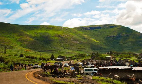 Mercado tradicional de caballos y burros en Lesotho Sudáfrica —  Fotos de Stock