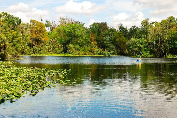 Wekiwa río en Florida primavera parque para la aventura en canotaje y paseos en bote — Foto de Stock