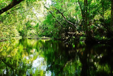Canoeing at the Rock springs river in Kelly park Central Florida