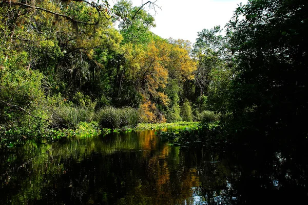Countryside Rock Run River Kelly Park Apopka Central Florida — Stockfoto