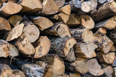 Araziyi ısıtmadan önce depoda odun kesmiş..