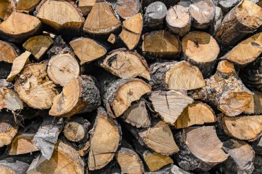 Konut ve sanayi tesislerini ısıtmak için kesilmiş odun yığını..