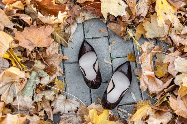 秋天干枯树叶中的深色漆鞋 — 图库照片