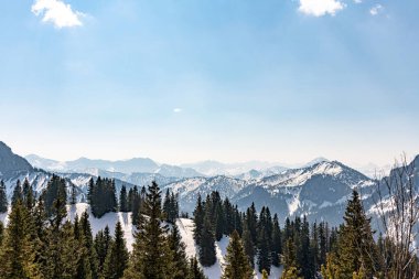 Alp karlı dağlar yeşil çam ağaçları arasında.