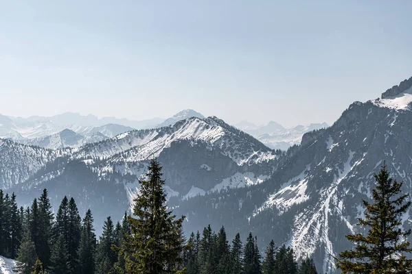 Güzel ve resimli karlı dağlar arka planda, çam ormanı önde..