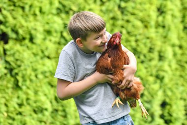 Adam tavuğu elinde tutuyor ve onu öpmeye çalışıyor..