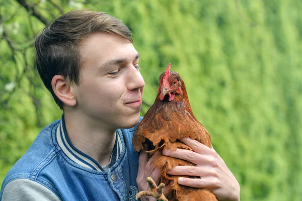 Facet Trzyma Kurczaka Rękach Próbuje Pocałować — Zdjęcie stockowe