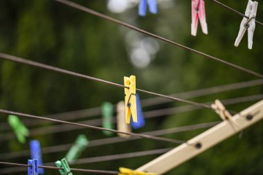 Islak ve yıkanmış giysiler için renkli mandallar..