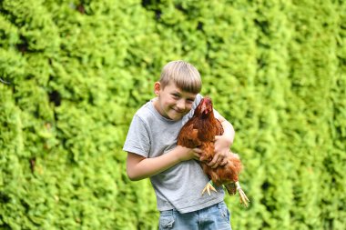 Elinde tavuk olan bir çocuk yeşil kozalaklı ağaçların arka planına karşı.