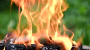 Smoldering coals in a burning campfire with a hot flame. Slow motion video of the fire. 