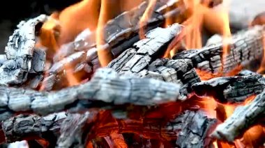 Smoldering coals in a burning campfire with a hot flame. Slow motion video of the fire. 