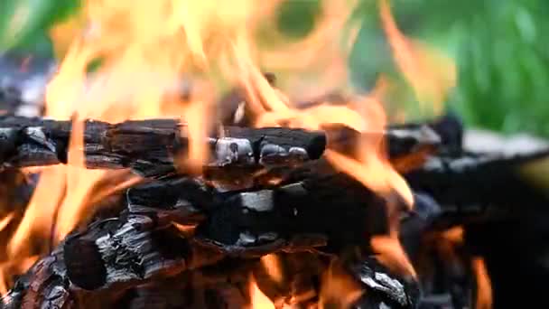 Smoldering Coals Burning Campfire Hot Flame Slow Motion Video Fire — Vídeo de Stock