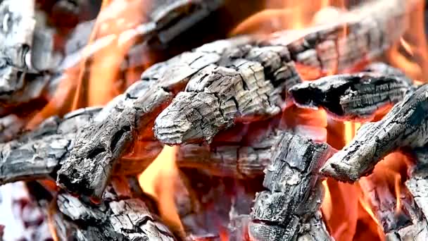 Vlammen Van Brandende Houtblokken Een Kampvuur Buiten Slow Motion Video — Stockvideo