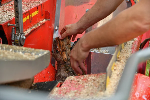 Hydraulic Installation Cutting Sawing Logs Firewood — Stok Foto
