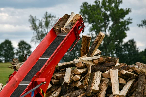 Sawn Chopped Firewood Chopping Sawing Sent Firewood Carriage — Stok Foto