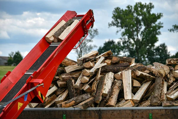 Sawn Chopped Firewood Chopping Sawing Sent Firewood Carriage — Stok Foto