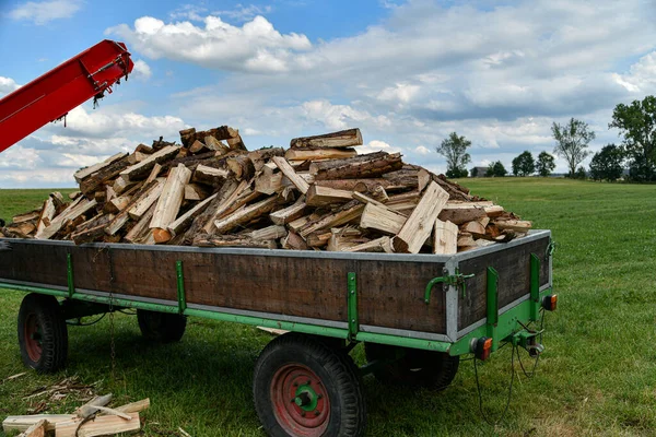 Carriage Sawn Chipped Firewood Prepared Winter Heat Room — Stok Foto