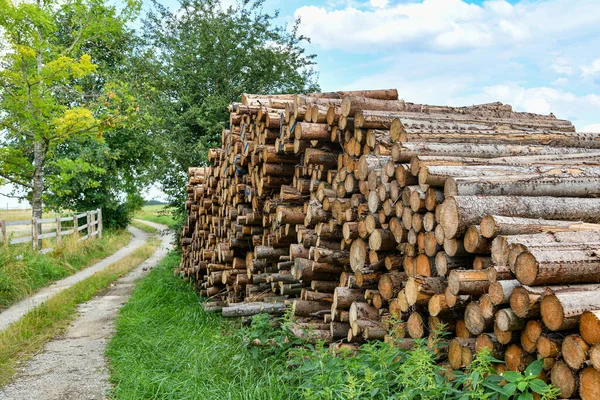 Logs Warehouse Sawmill Chopping Sawing Firewood — Stock fotografie