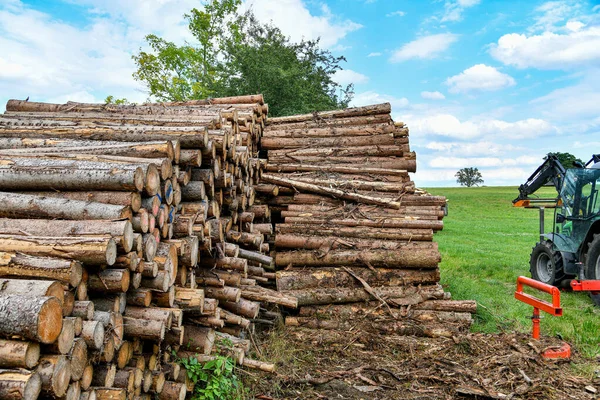 Logs Warehouse Sawmill Chopping Sawing Firewood — Stok Foto
