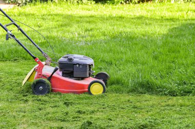 A man mows lawn grass with a lawn mower at home.