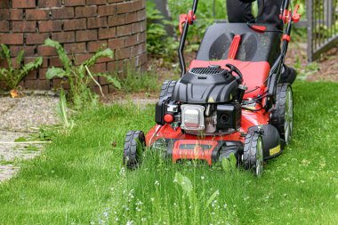 A man mows lawn grass with a lawn mower at home.