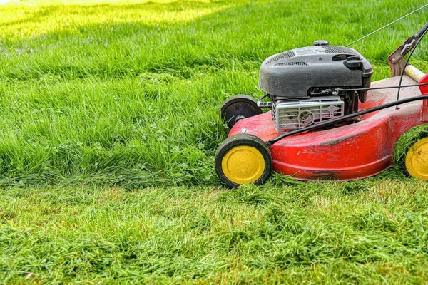 Cleaning and mowing lawn green grass in the yard with a home lawn mower.