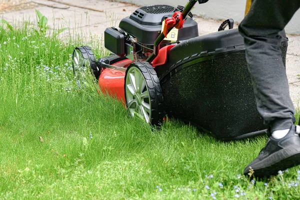 Lawn mower on mowed lawn grass.