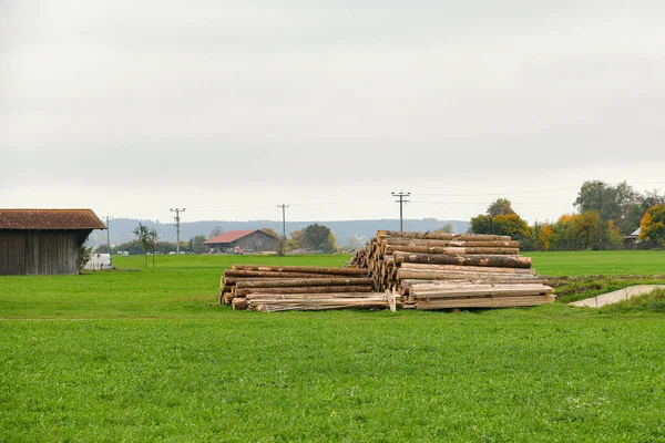 Sawn Log Untuk Pemanasan Terletak Depan Rumah — Stok Foto