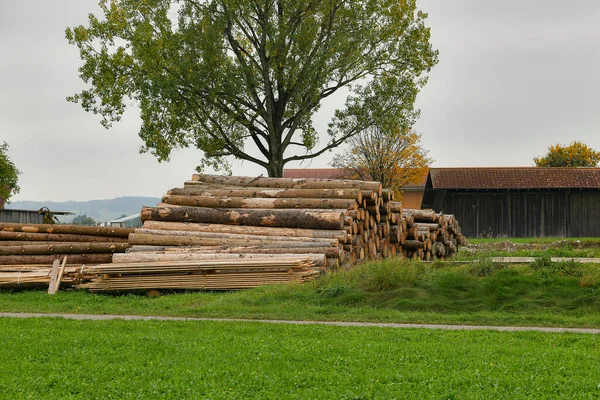 Sawn Log Untuk Pemanasan Terletak Depan Rumah — Stok Foto
