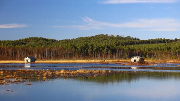 Vízi Rétek Svansele Dammangar Természetvédelmi Svédországban — Stock Fotó