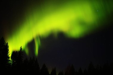 Laponya 'daki festival siluetinin arkasında kuzey ışıkları.