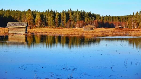 Outono Reserva Natural Svansele Dammangar Suécia — Fotografia de Stock