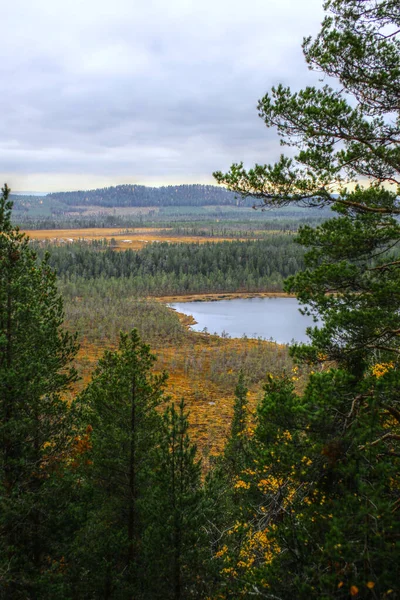 Blick Vom Kleinen Berg Nymyrberget Nordschwedischen Herbst — Stockfoto