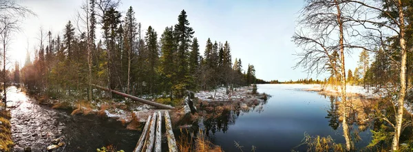 Regista Pequeno Fluxo Entrada Reserva Natural Pellobacken Suécia — Fotografia de Stock
