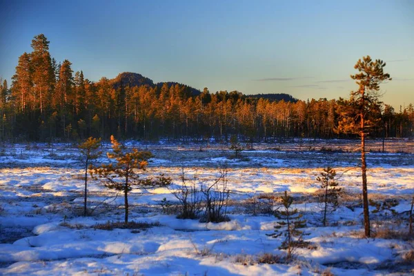 Widok Rezerwat Przyrody Vithattsmyrarna Mount Vithatten Północnej Szwecji — Zdjęcie stockowe
