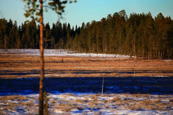 Vue Sur Réserve Naturelle Vithattsmyrarna Les Bourbiers Mont Vithatten Dans — Photo