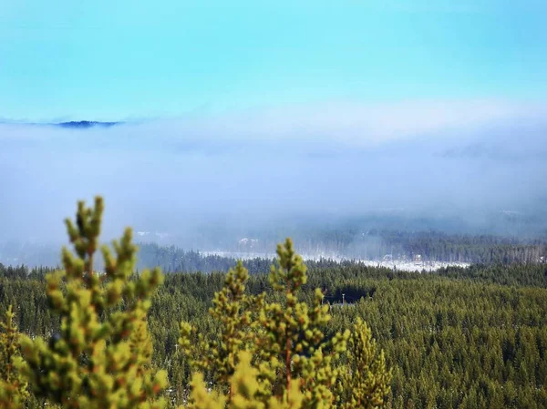 Vista Paisagem Inverno Sueca Sol Nevoeiro — Fotografia de Stock