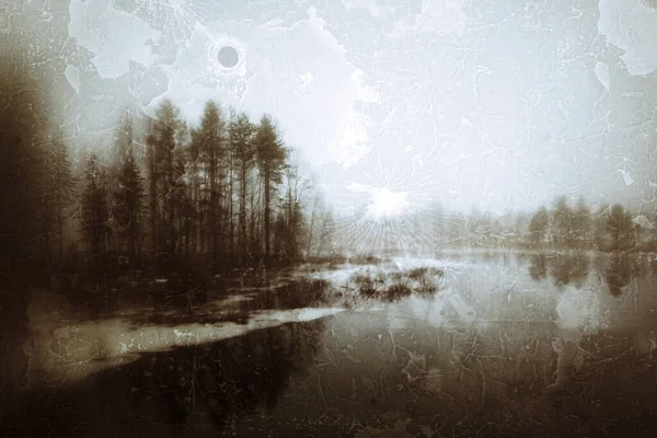 瑞典拉普兰冬季场景的精彩镜头 — 图库照片