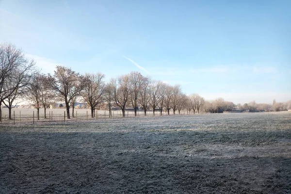 Deutsches Feld Einem Frostigen Wintermorgen — Stockfoto