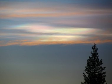 Akşam gökyüzünde kutup stratosferik bulutları (PSC 'ler).