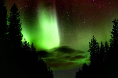 Parlak yeşil ve kırmızı aurora borealis ve ağaç siluetleri arasında bulutlar.