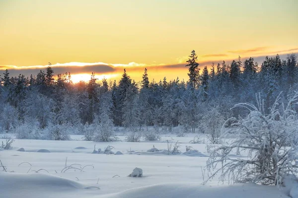 Wschód Słońca Nad Pięknym Zamarzniętym Zimowym Krajobrazem — Zdjęcie stockowe