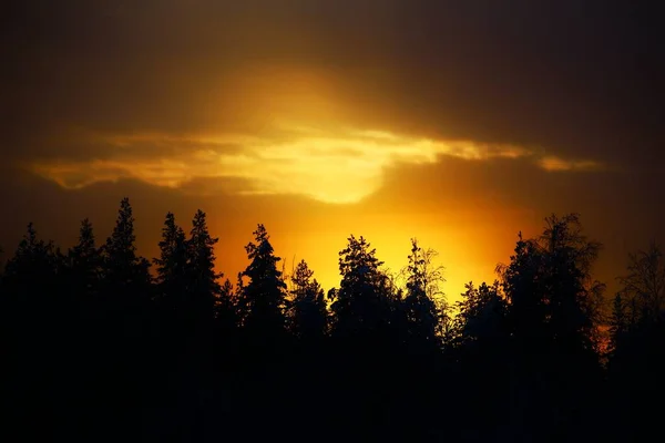 Nuvem Iluminada Sobre Uma Silhueta Floresta Dourada — Fotografia de Stock