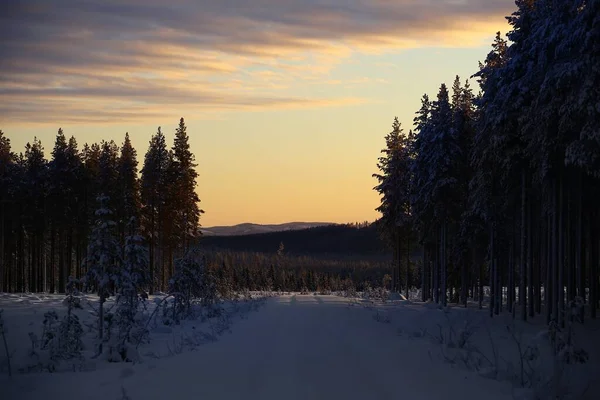 Zachód Słońca Nordyckim Zimowym Krajobrazie Śnieżną Drogą — Zdjęcie stockowe