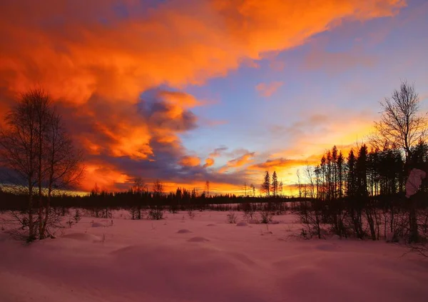 Malowniczy Zimowy Krajobraz Pod Pięknymi Pomarańczowymi Chmurami — Zdjęcie stockowe