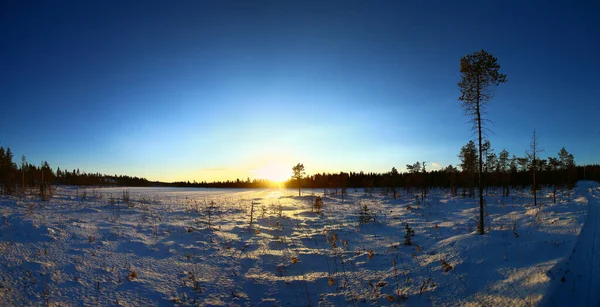 Panorama Rétroéclairé Paysage Hivernal Laponie Suédoise — Photo
